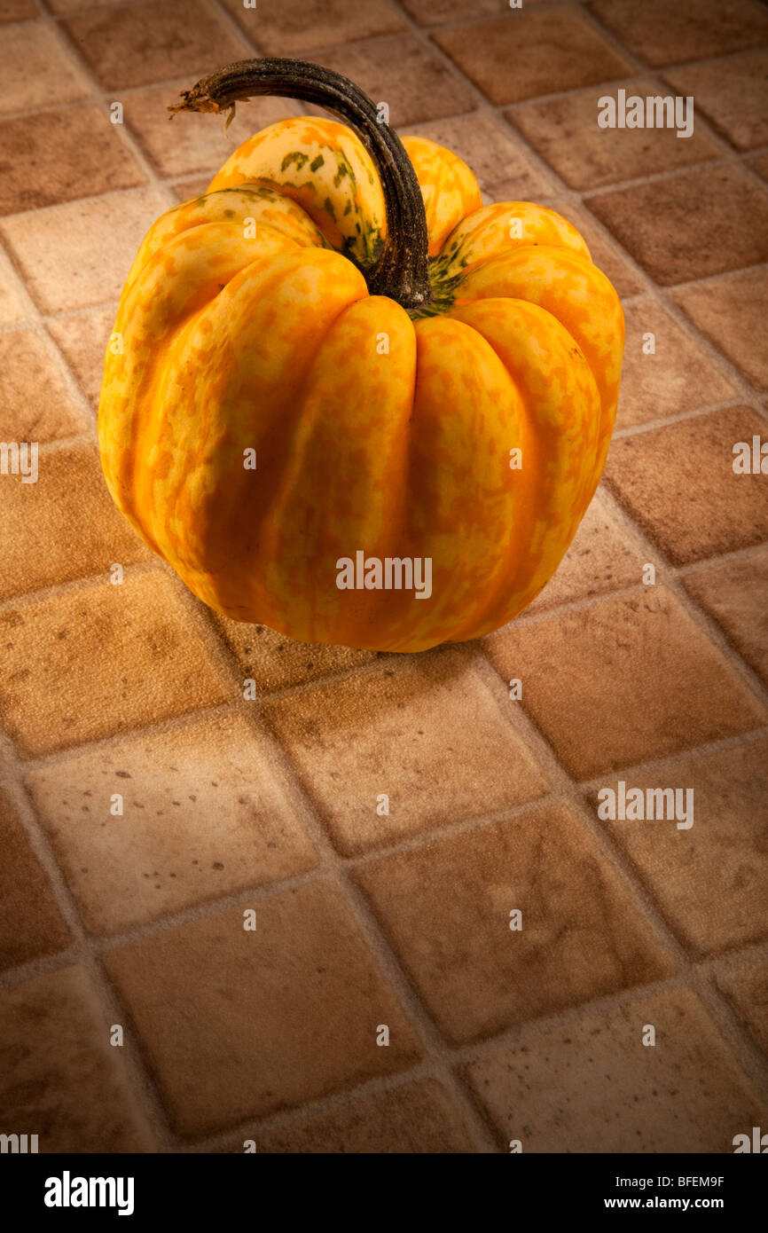 Harlequin Squash Stock Photo