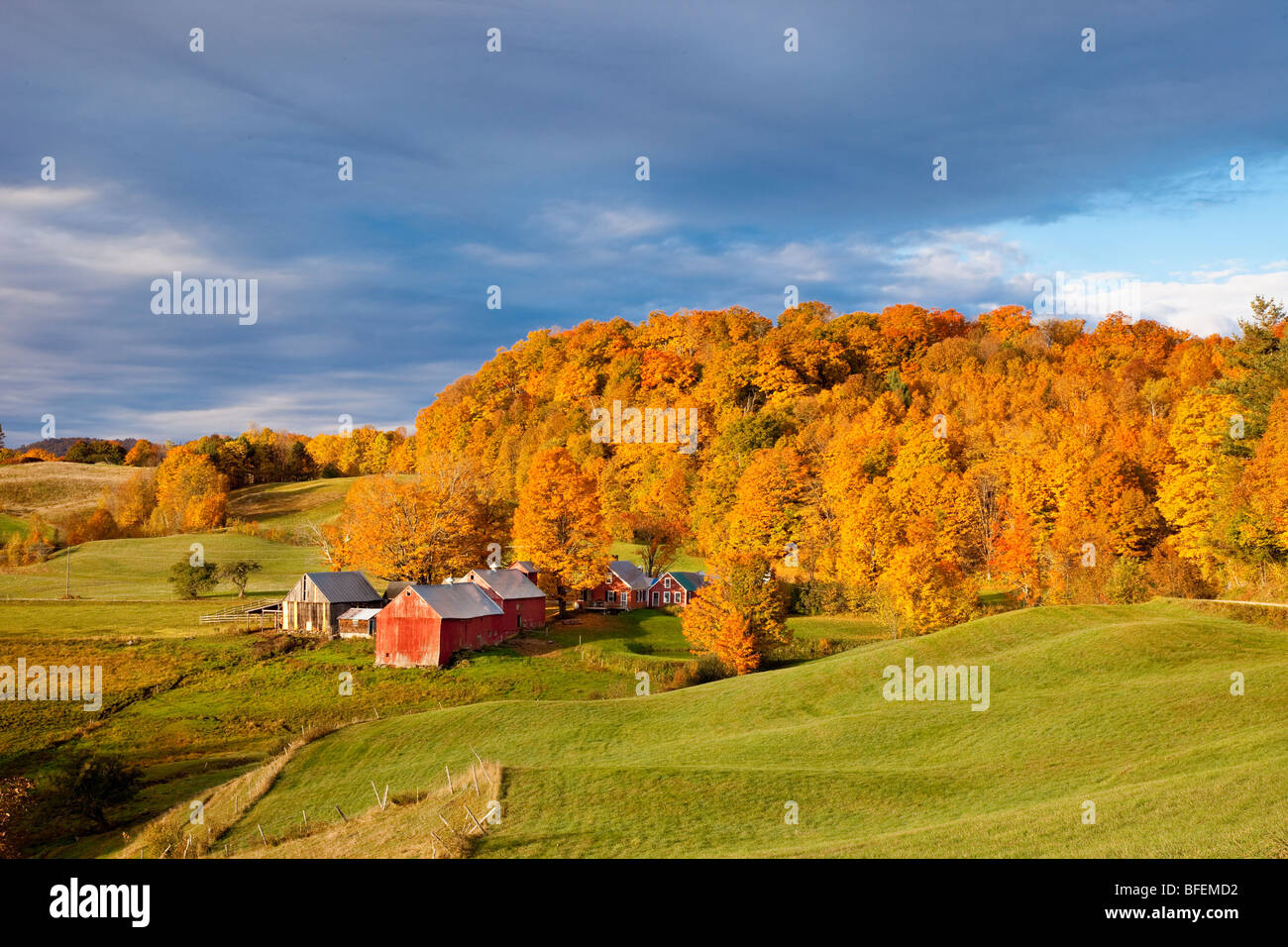 The Jenne Farm at dawn in autumn near South Woodstock Vermont USA Stock Photo