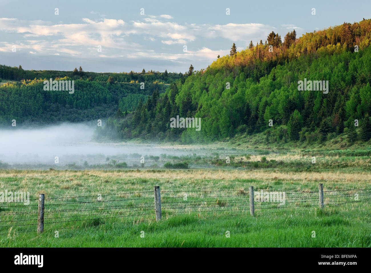 Big Hill Springs Provincial Park, Cochrane, Alberta, Canada Stock Photo