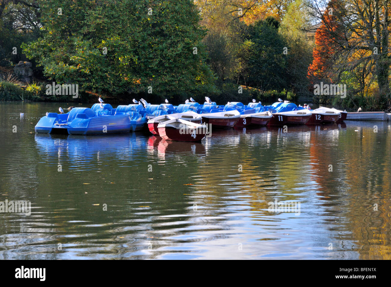 Battersea park boating lake hires stock photography and images Alamy