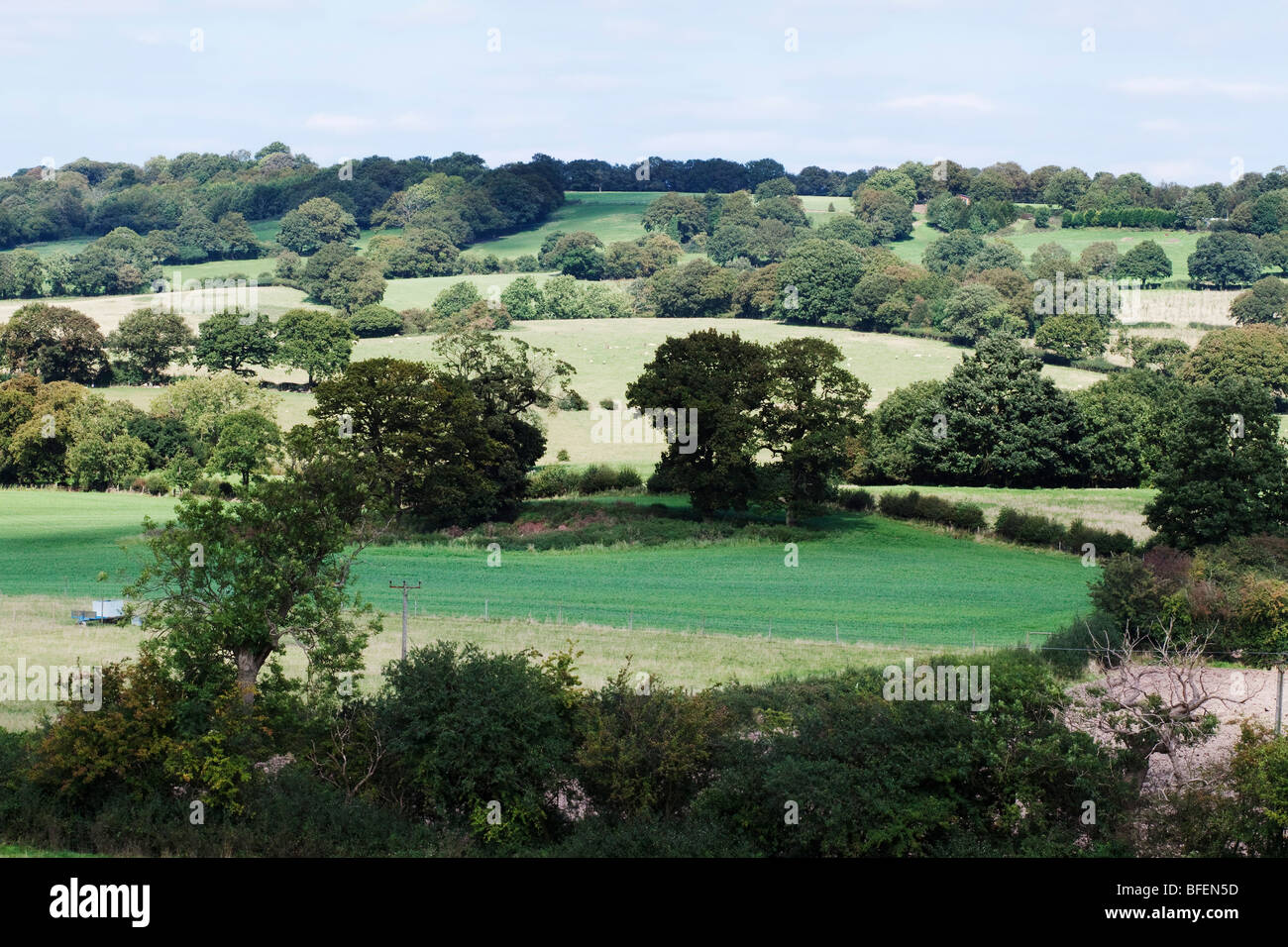 The grounds of a country estate Stock Photo Alamy