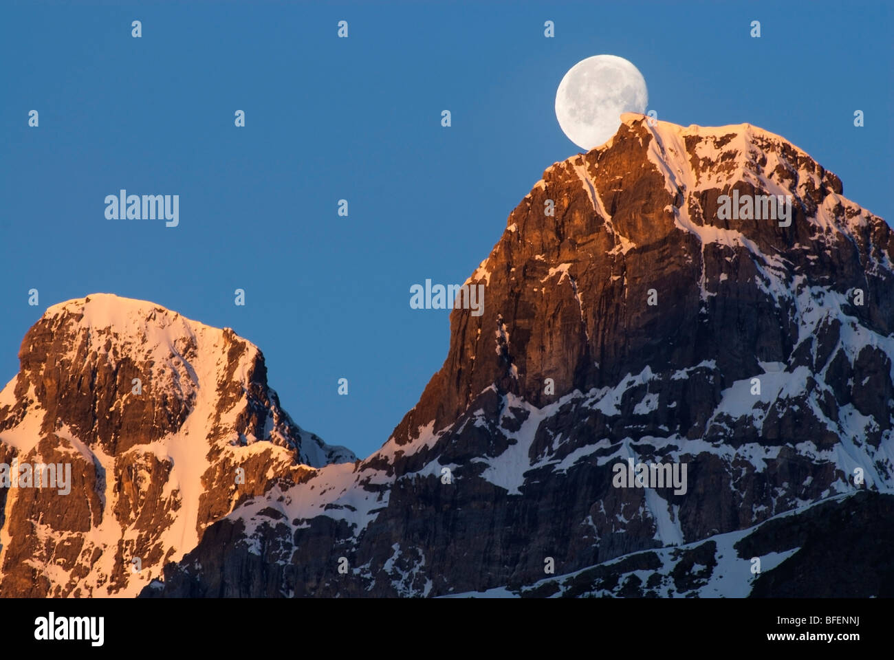 Moon over Mount Chephren, Banff National Park, Alberta, Canada Stock