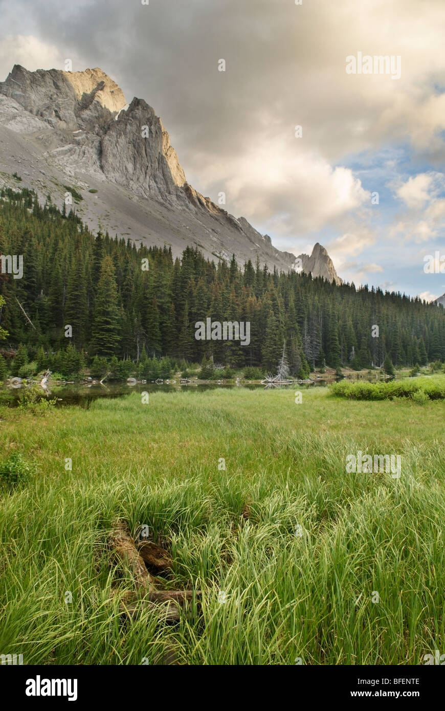Elpoca Mountain, Kananaskis Country, Alberta, Canada Stock Photo Alamy
