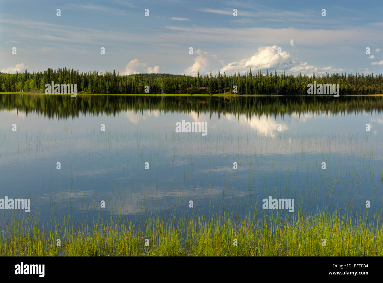 Deadman Lake, Tetlin National Wildlife Refuge, Alaska, United States of