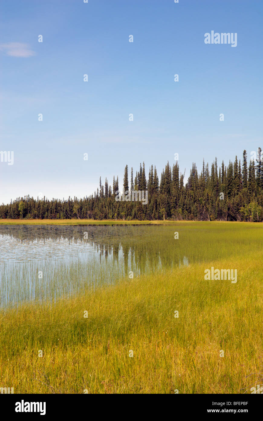 Ecological refuge hires stock photography and images Alamy