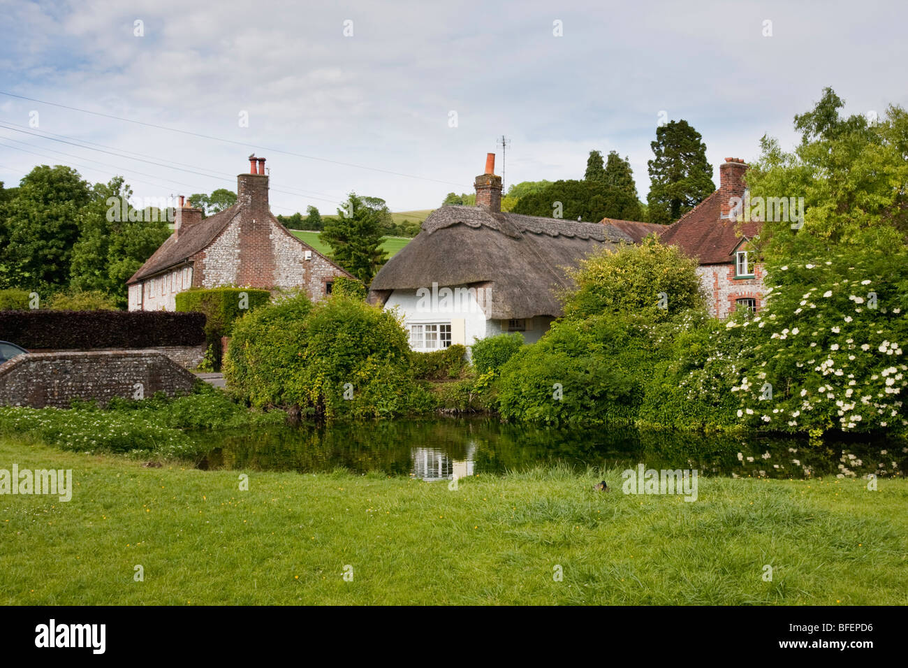 Village pond and thatched cottages in West Sussex, England Stock Photo