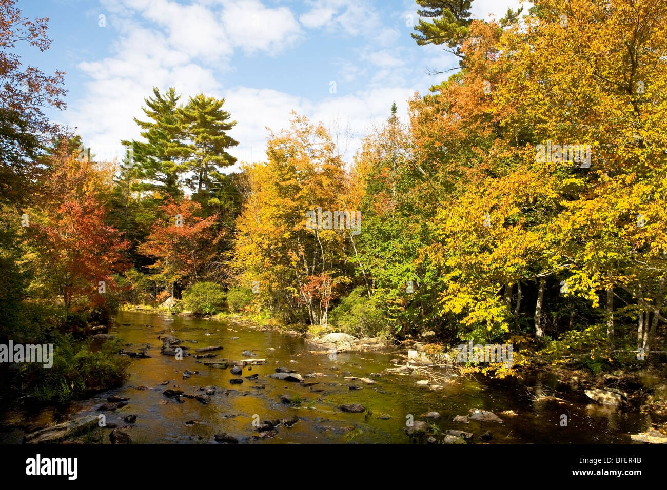Cameron Lake Provincial Park, Nova Scotia, Canada Stock Photo - Alamy