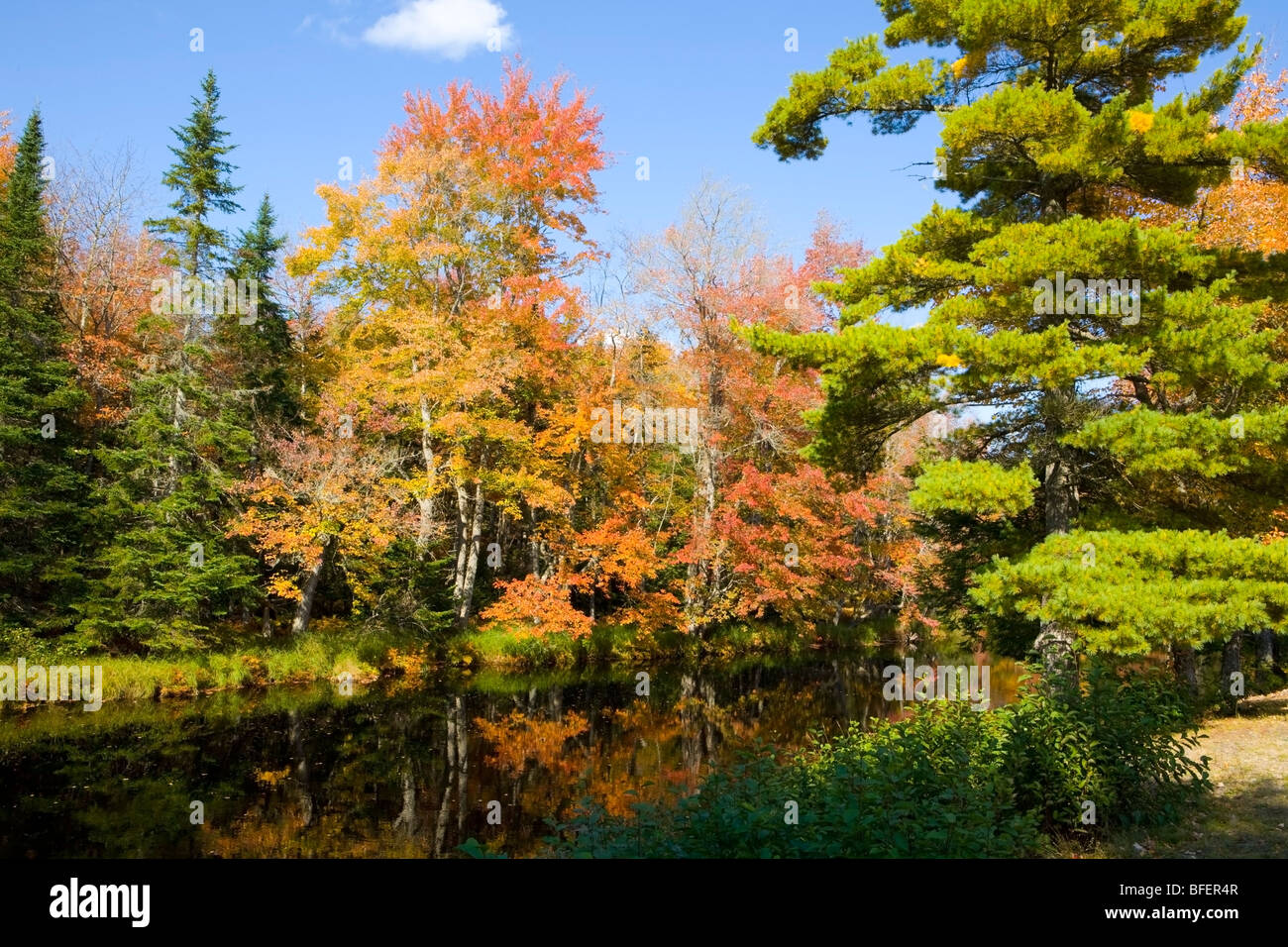 Mersey River, Kejimkujik National Park, Nova Scotia, Canada Stock Photo ...