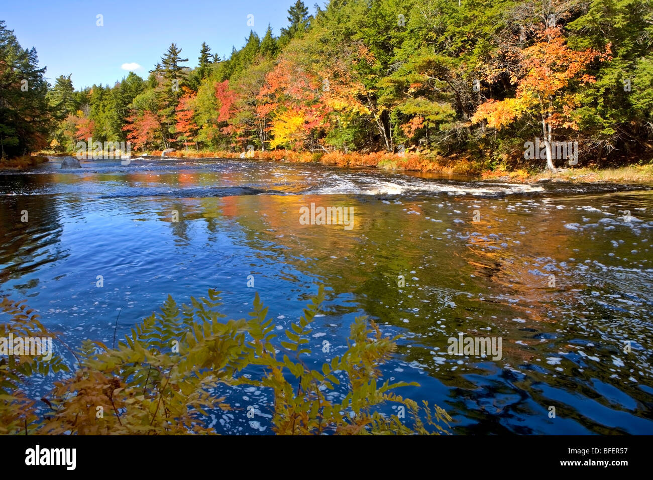 Mersey River, Kejimkujik National Park, Nova Scotia, Canada Stock Photo ...