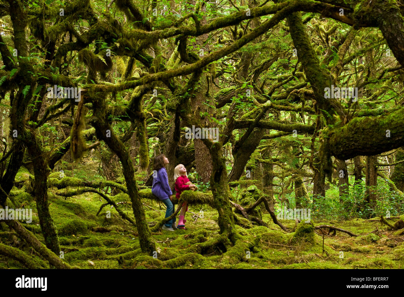 Two children in mossy forest, Naikoon Provincial Park, Queen Charlotte Islands, British Columbia, Canada Stock Photo