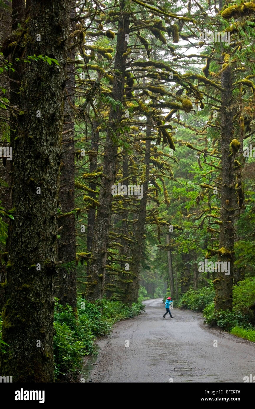 Young girl walking through road through rainforest Tow Hill Naikoon Provincial Park Queen Charlotte Islands British Columbia Can Stock Photo