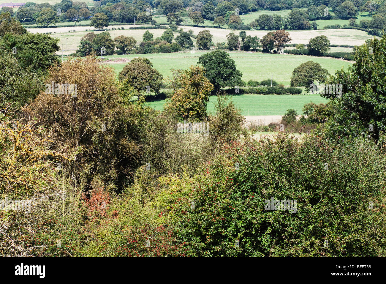 The grounds of a country estate Stock Photo - Alamy