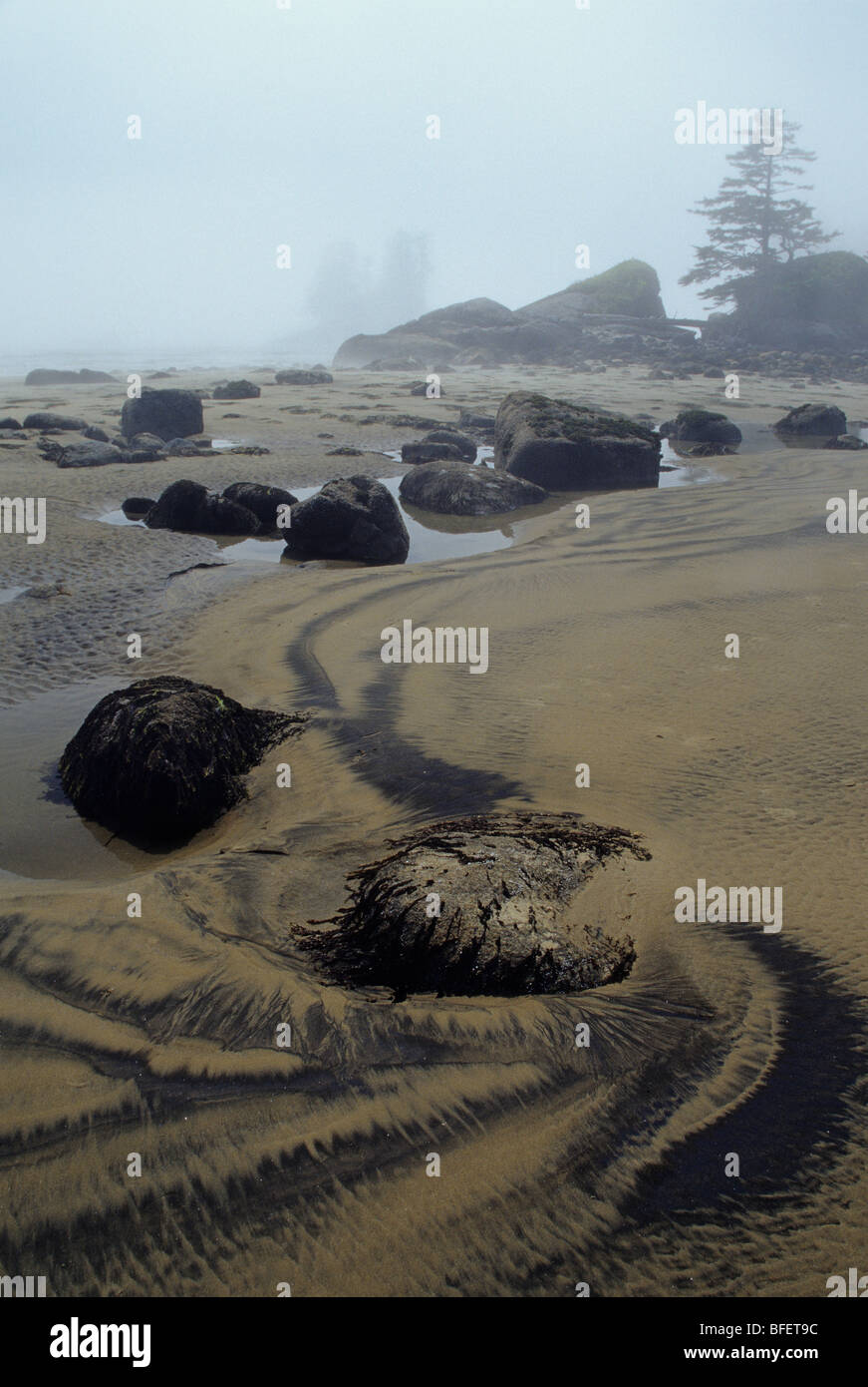 Sandy beach strand hires stock photography and images Alamy