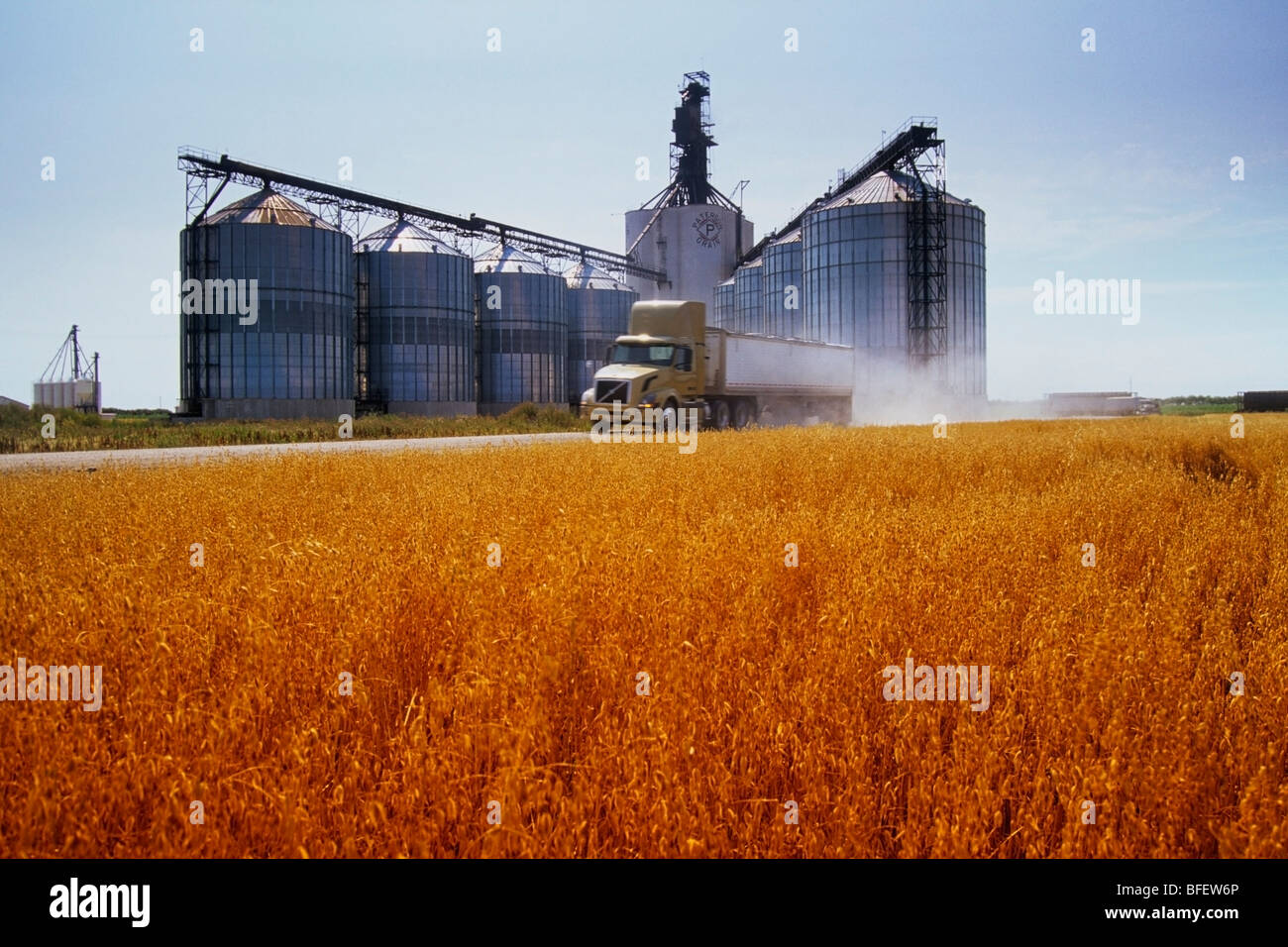 A truck leaving a Paterson inland grain terminal after delivering a load of grain, Morris, Manitoba, Canada Stock Photo