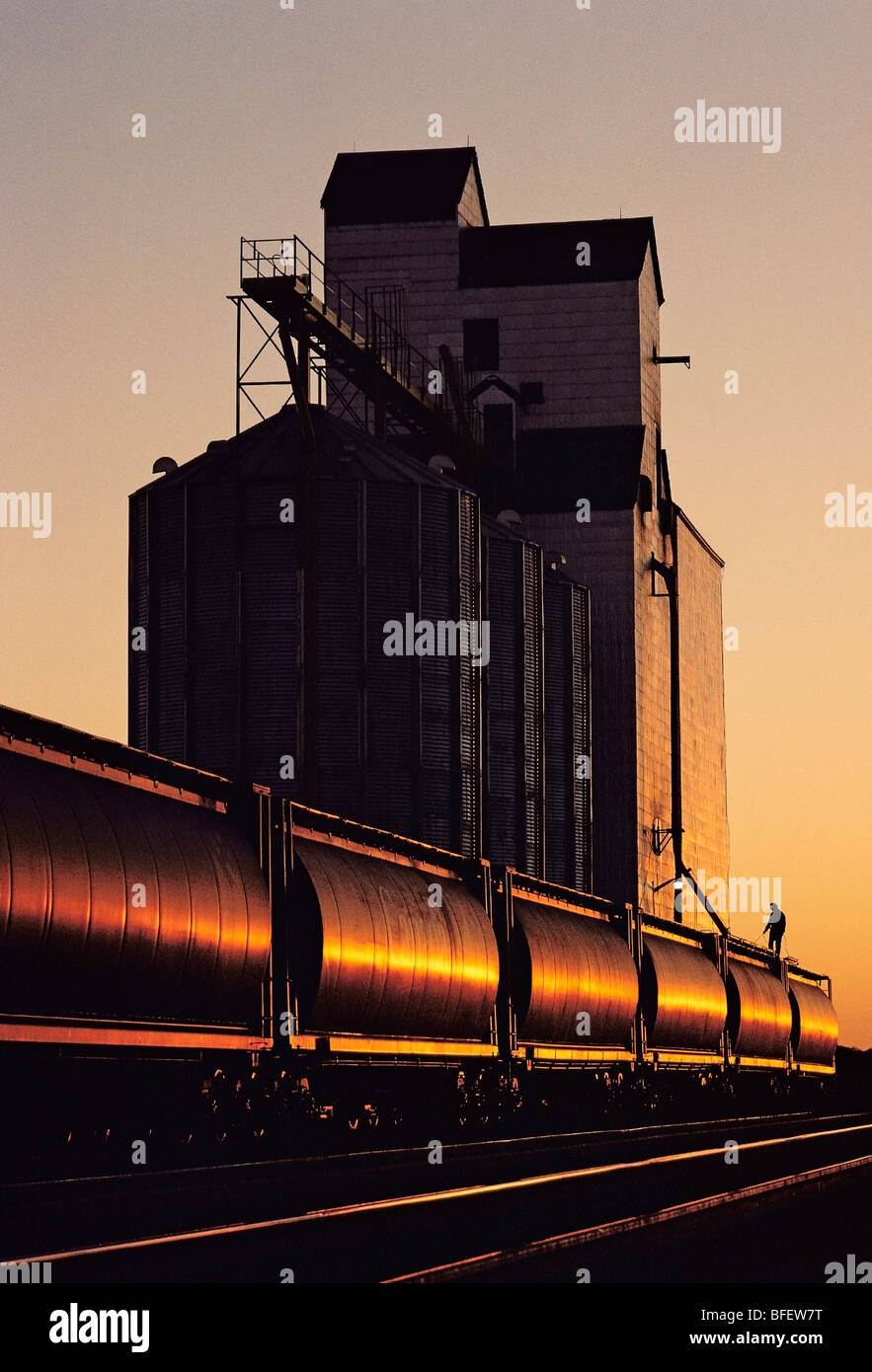 Man loading railway hopper car with wheat at a grain elevator, Dugald, Manitoba, Canada Stock Photo