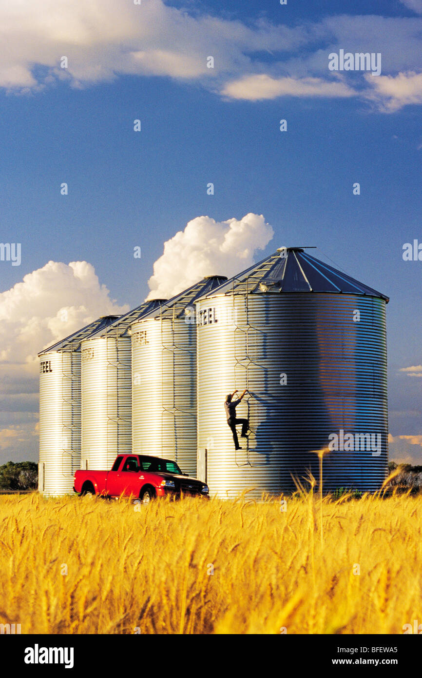 A farmer checks his grain storage bins located in front of a mature