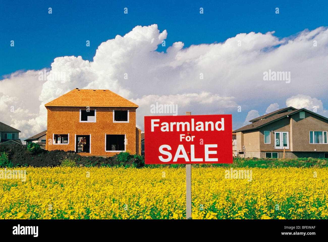 Farmland for sale sign in a blooming canola field with housing development in the background, Winnipeg, Manitoba, Canada Stock Photo