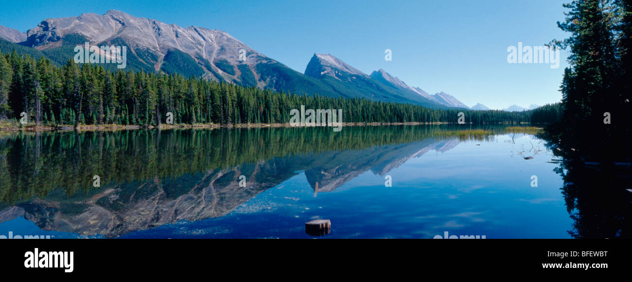 Honeymoon Travel Guide - Jasper, Alberta ⋆ Rebecca Chan Events Inc.
