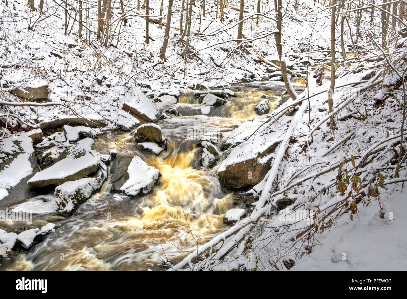 Grindstone Creek in winter, Bruce Trail, Niagara Escarpment, Hamilton, Ontario, Canada Stock Photo