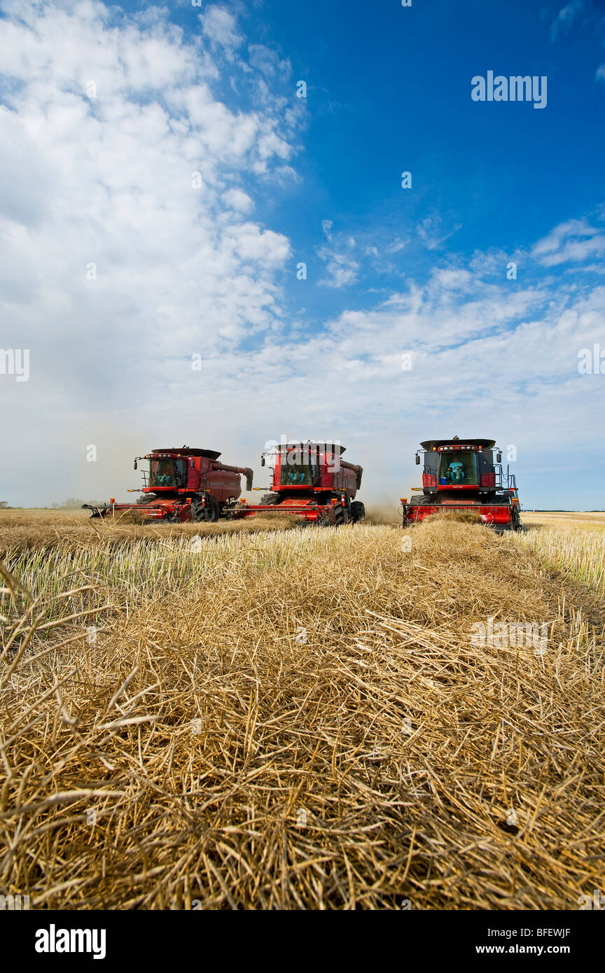 Combine harvesters manitoba hires stock photography and images Alamy