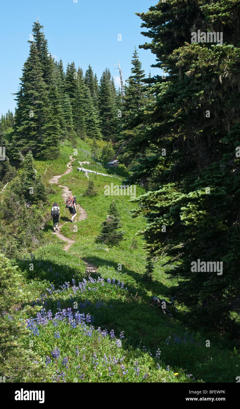 Two women backpackers on the High Divide Trail, Olympic National Park, Washington. Stock Photo