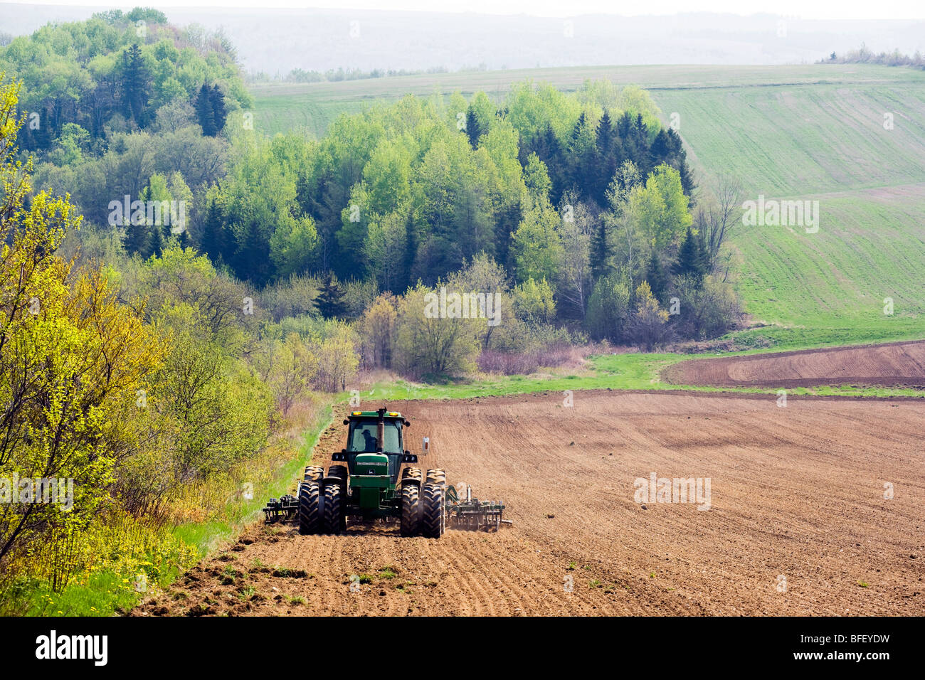 New brunswick potato field hires stock photography and images Alamy