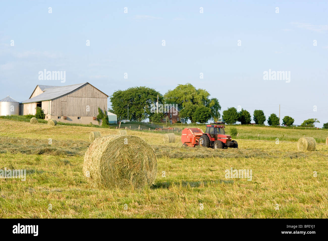 Tractor bailing hay, Aberfoyle, Ontario, Canada, agriculture Stock Photo