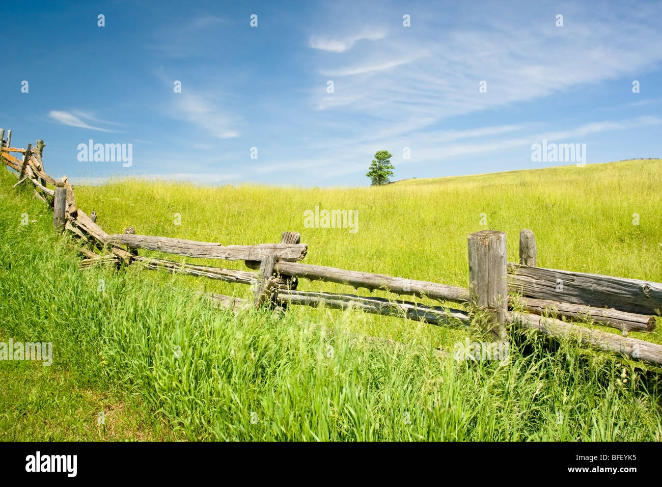 Rail fence, Niagara Escarpment near Terra Noiva, Ontario, Canada Stock Photo