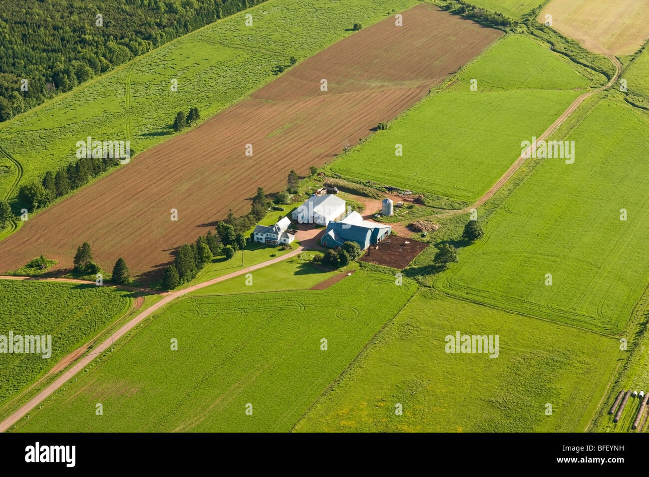 Aerial of farm, Prince Edward Island, Canada Stock Photo Alamy Aerial of farm, Prince Edward Island, Canada Stock Photo Alamy