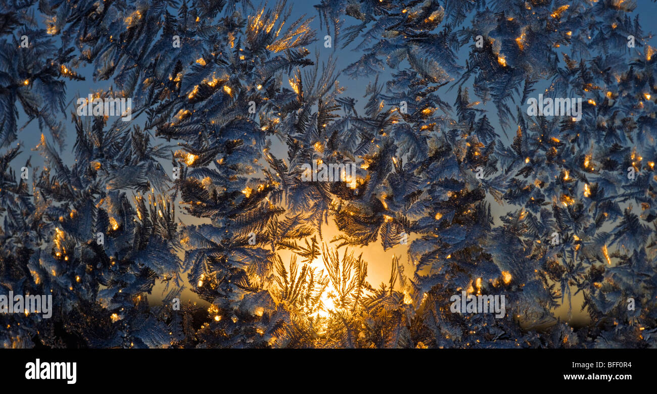 frost patterns at sunrise Stock Photo - Alamy
