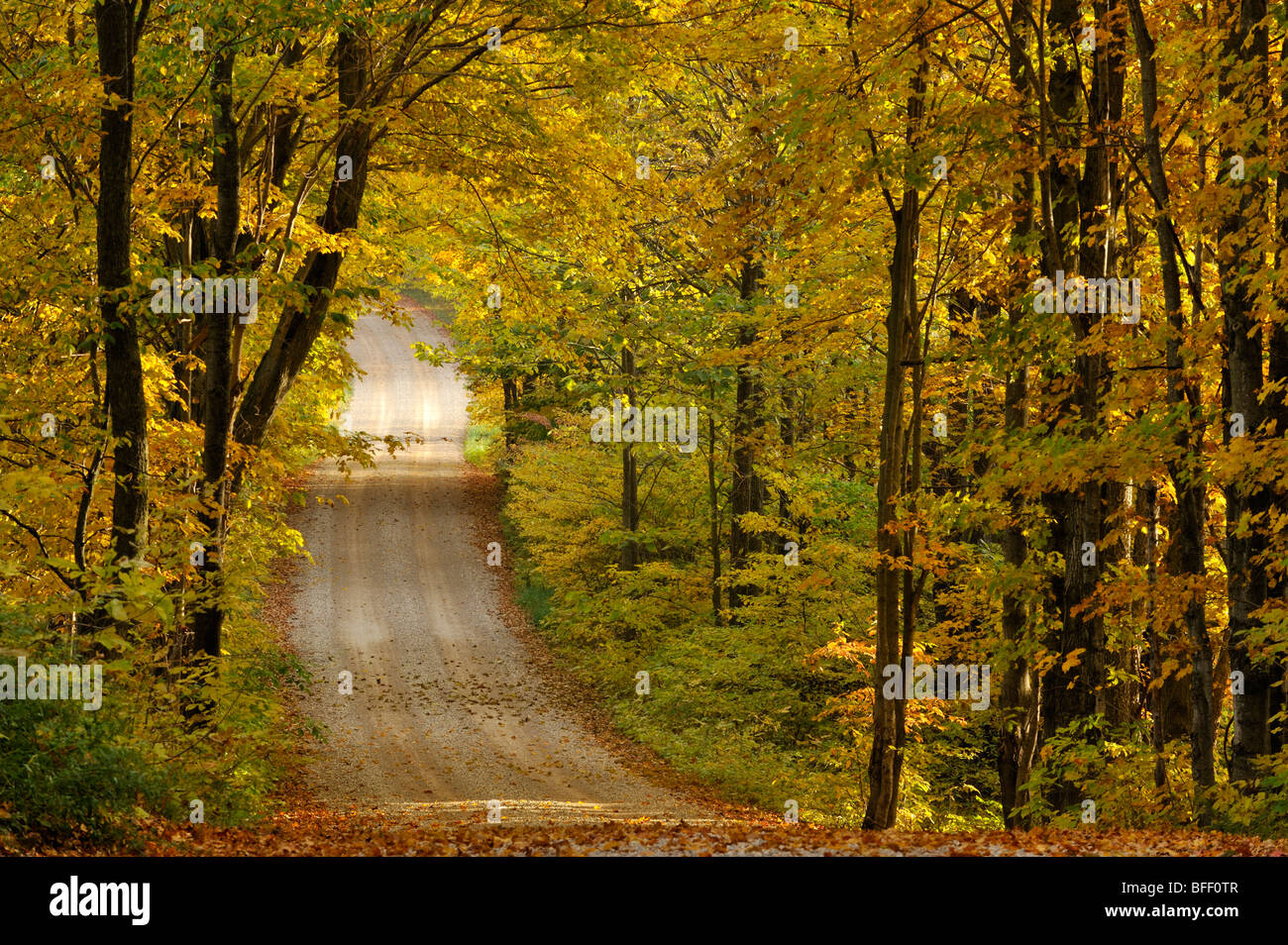 Quiet country lane in autumn, near Mount Forest, Ontario, Canada Stock Photo