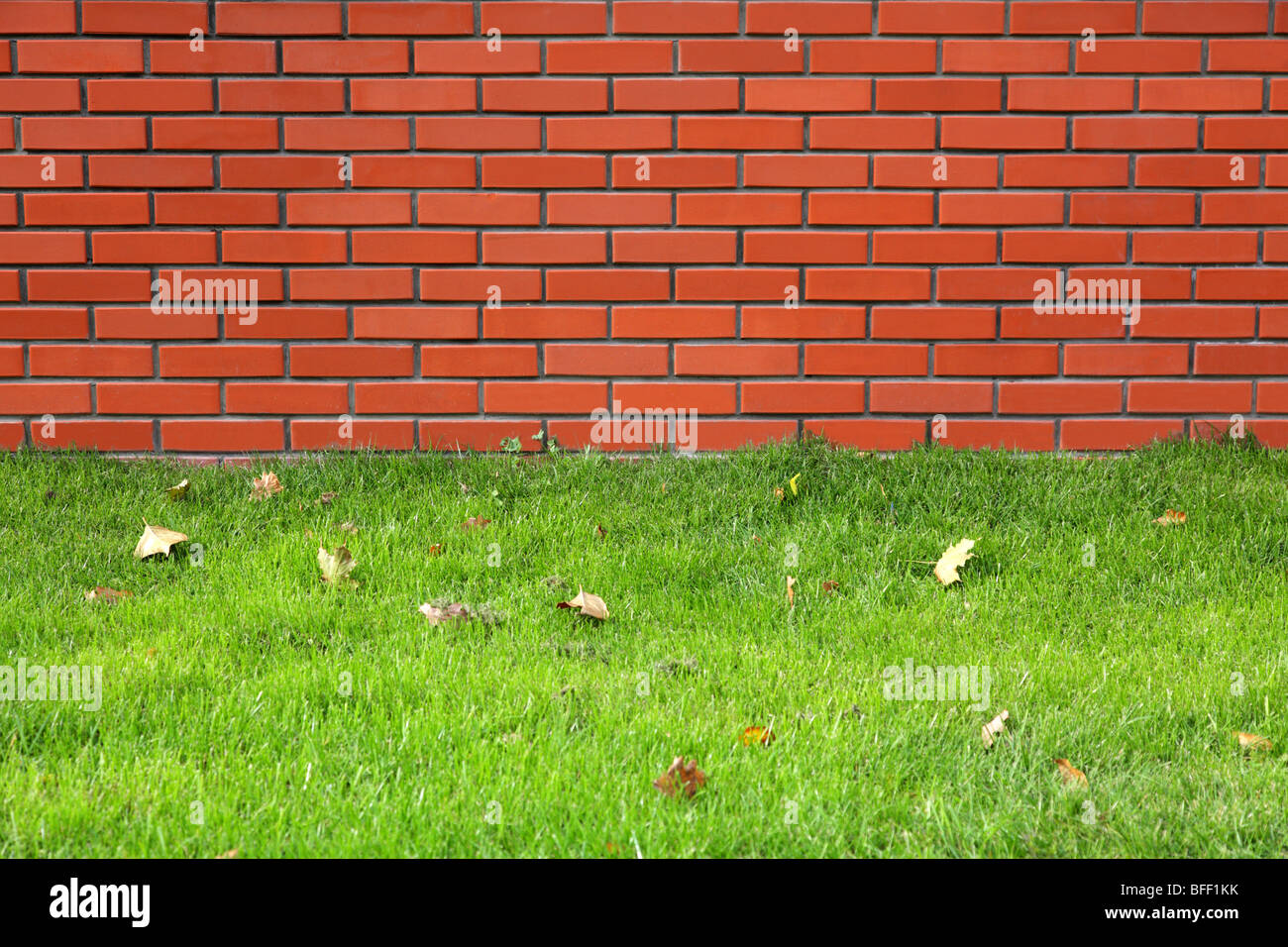 Red wall and green grass Stock Photo Alamy