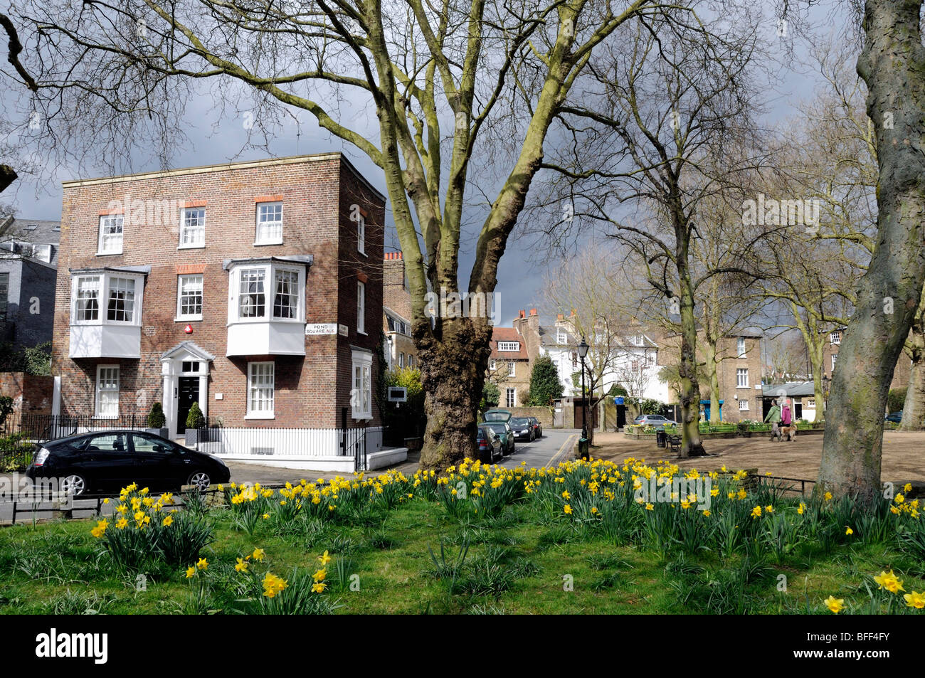 Daffodils Pond Square Highgate Village London England UK Stock Photo