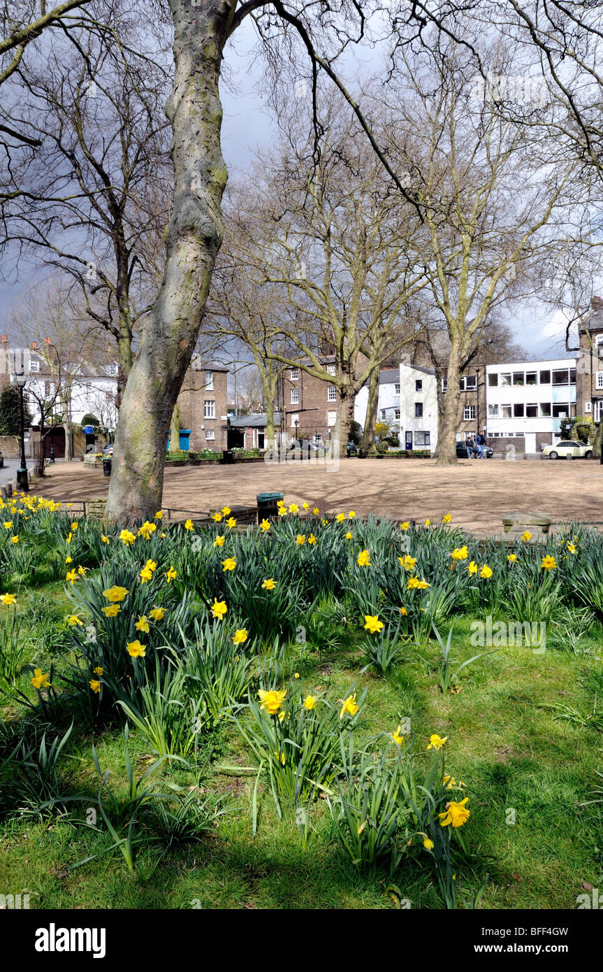 Daffodils Pond Square Highgate Village London England UK Stock Photo