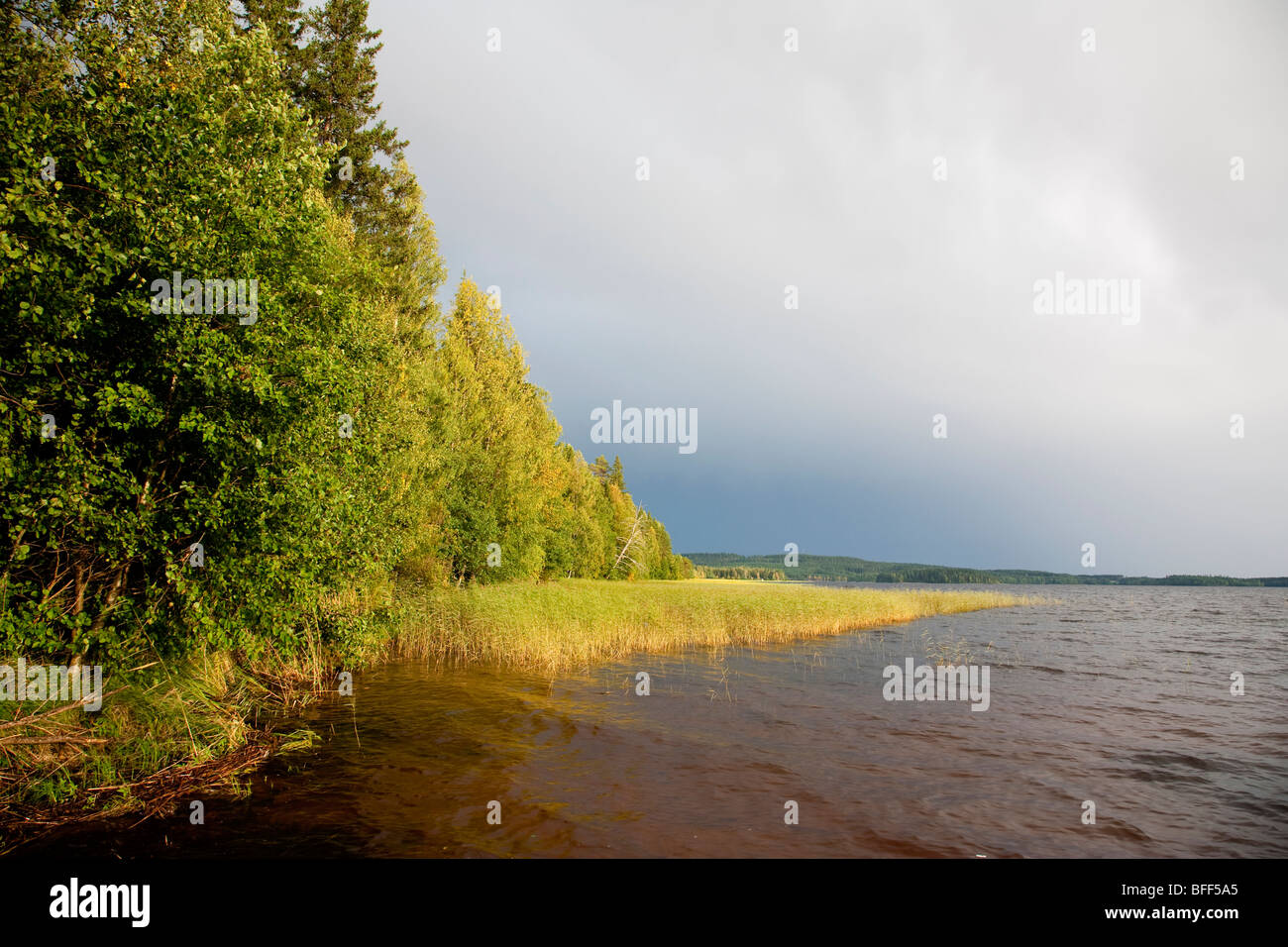Shore of a Finnish lake Keitele at stormy day , Finland Stock Photo