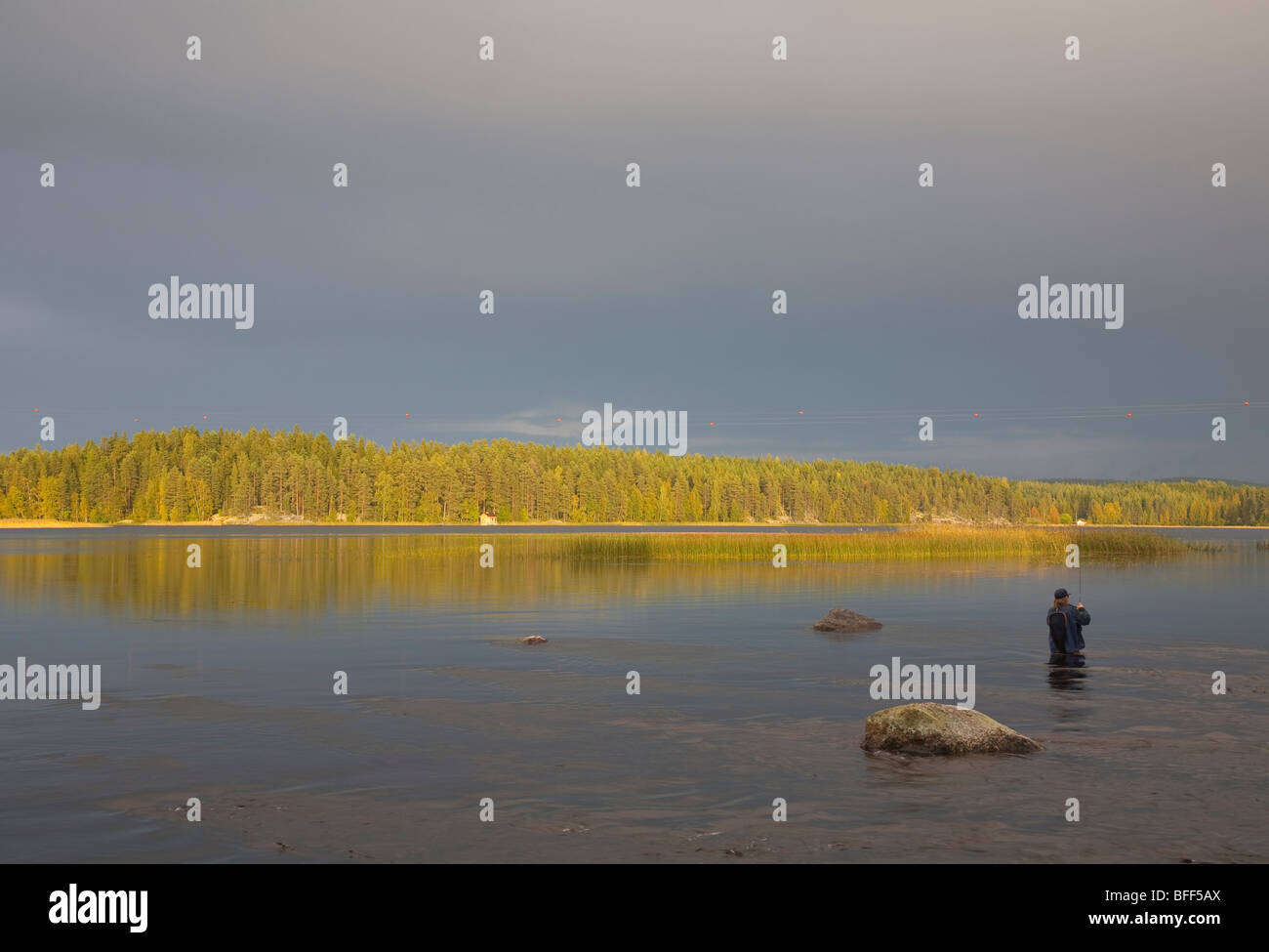 Fisherman fly fishing in a small river and lake, Finland Stock Photo