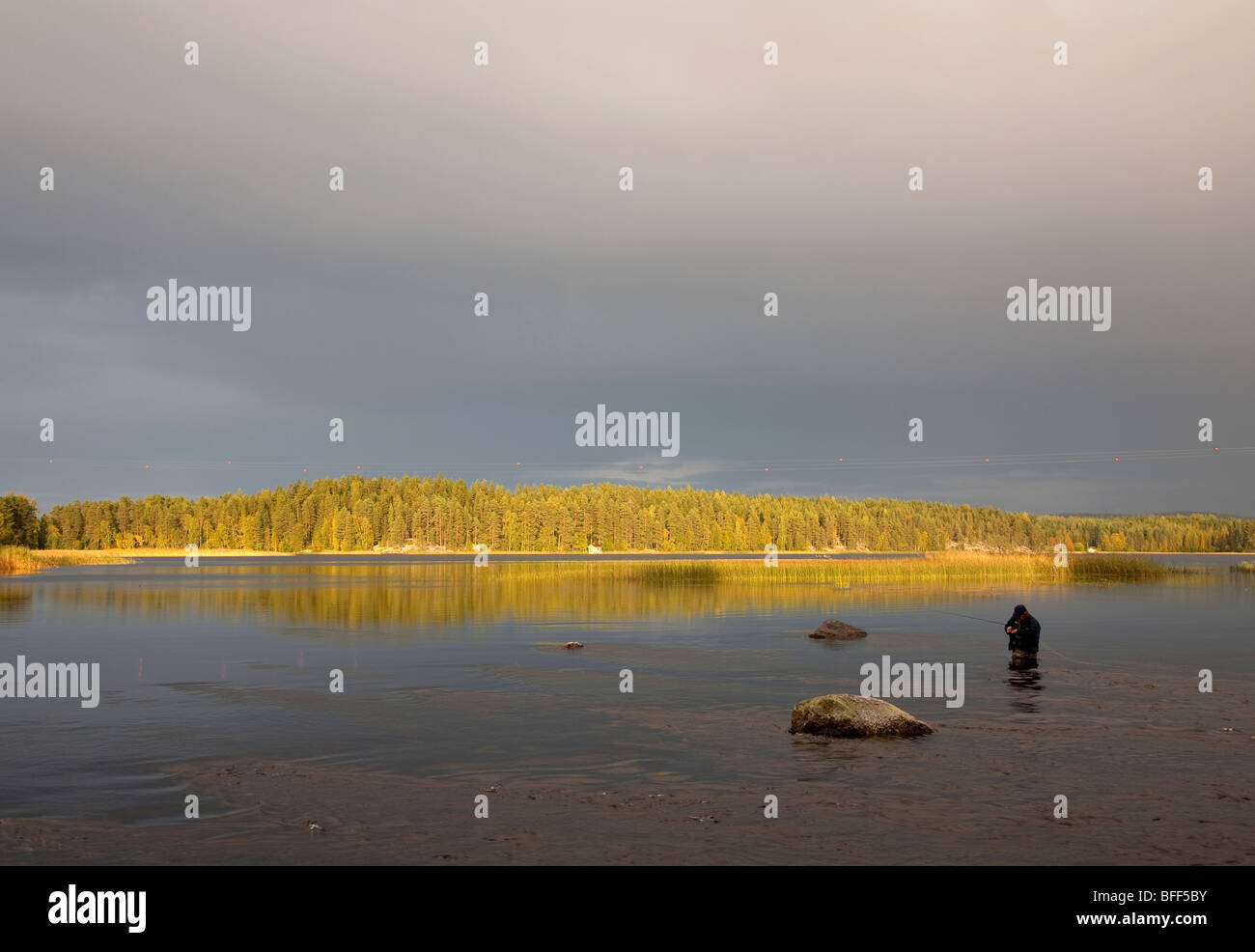 Fisherman fly-fishing in a small river, Finland Stock Photo