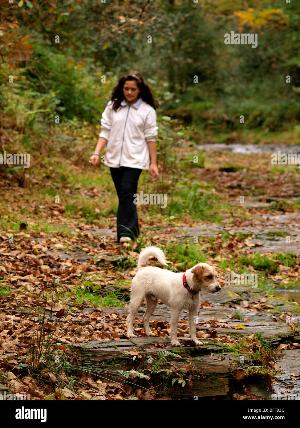 Young girl with small dog walking through the woods in autumn Stock Photo