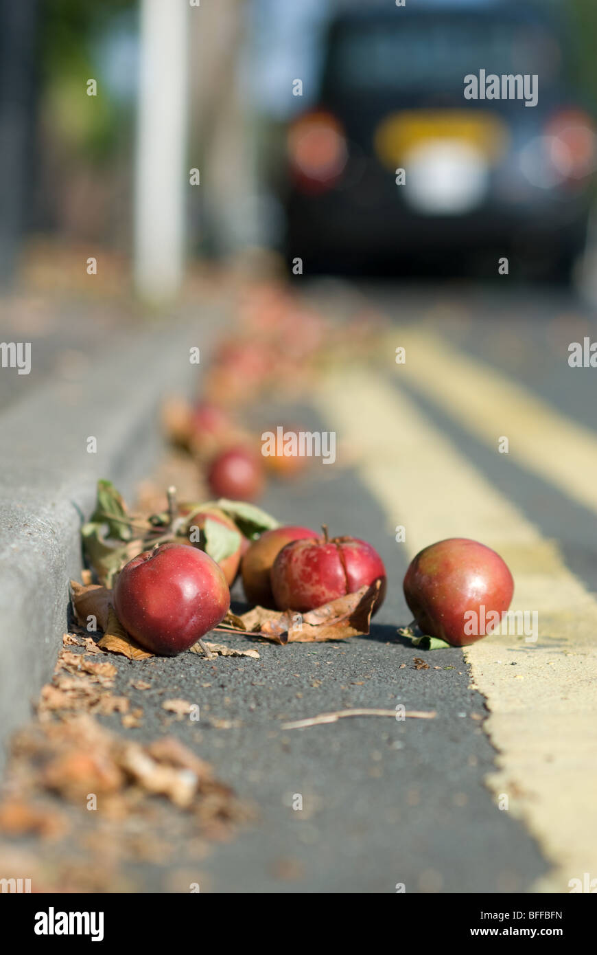 Apples on teh road Stock Photo