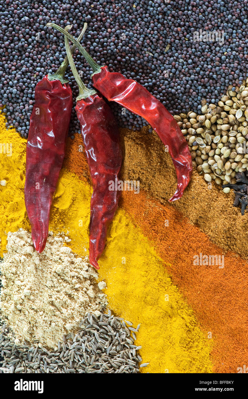 Indian cooking spices Stock Photo Alamy