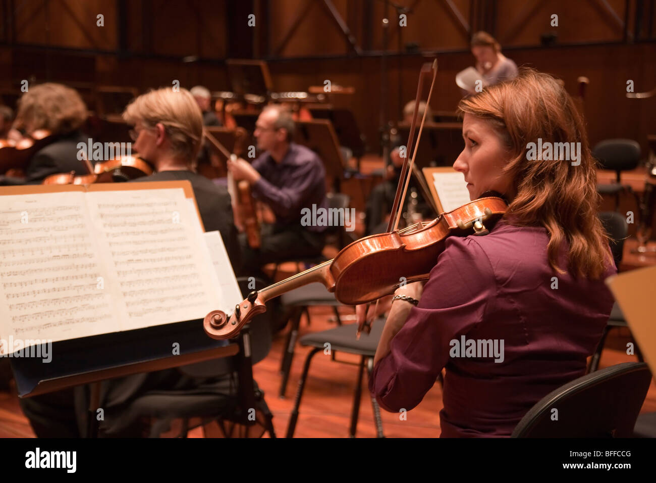 Violinist orchestra hires stock photography and images Alamy