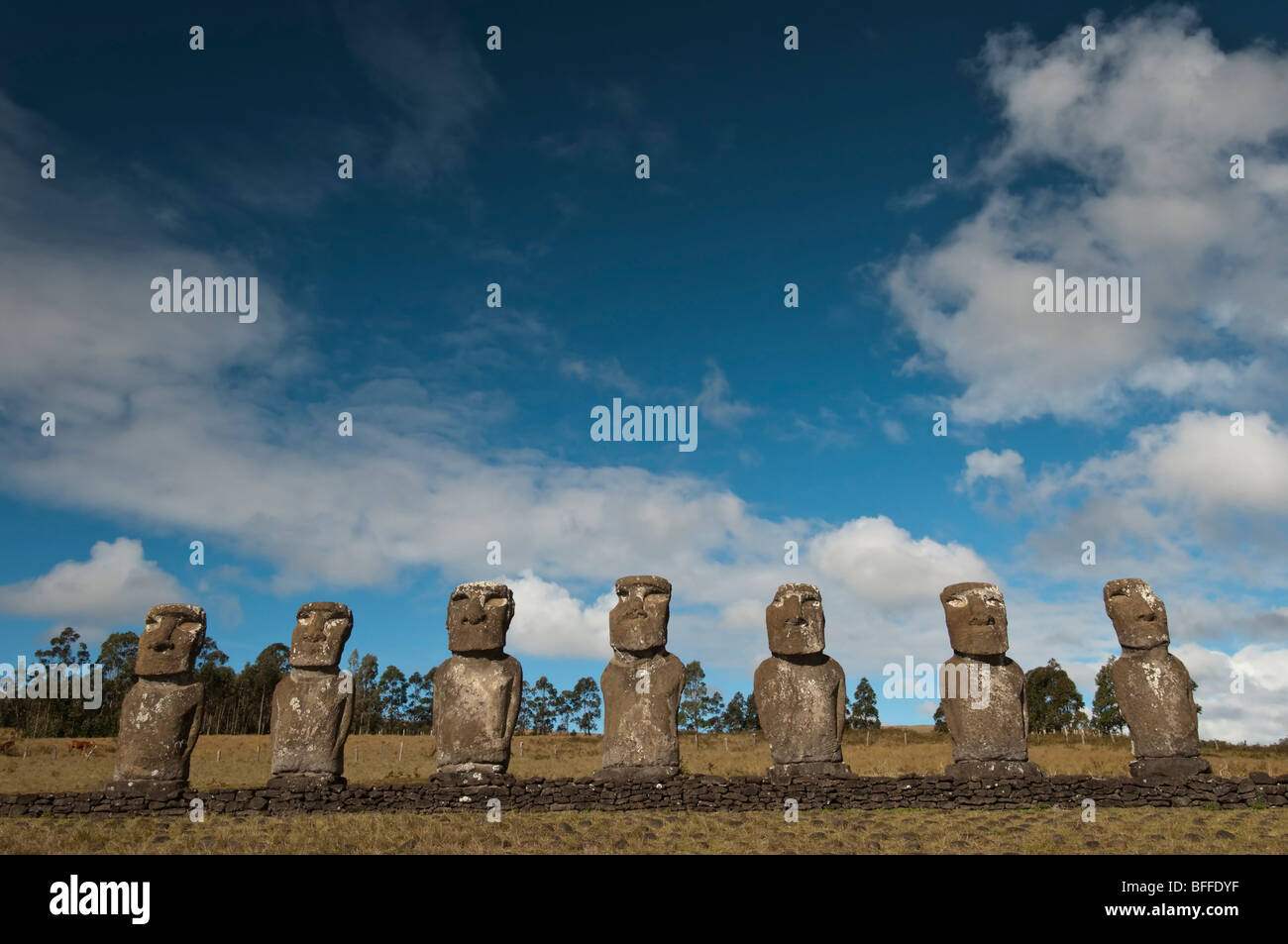 Easter Island Moai Statues at the Ahu Akivi Site Stock Photo Alamy