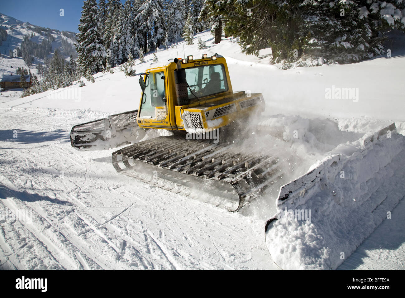 Sno cat hi-res stock photography and images - Alamy