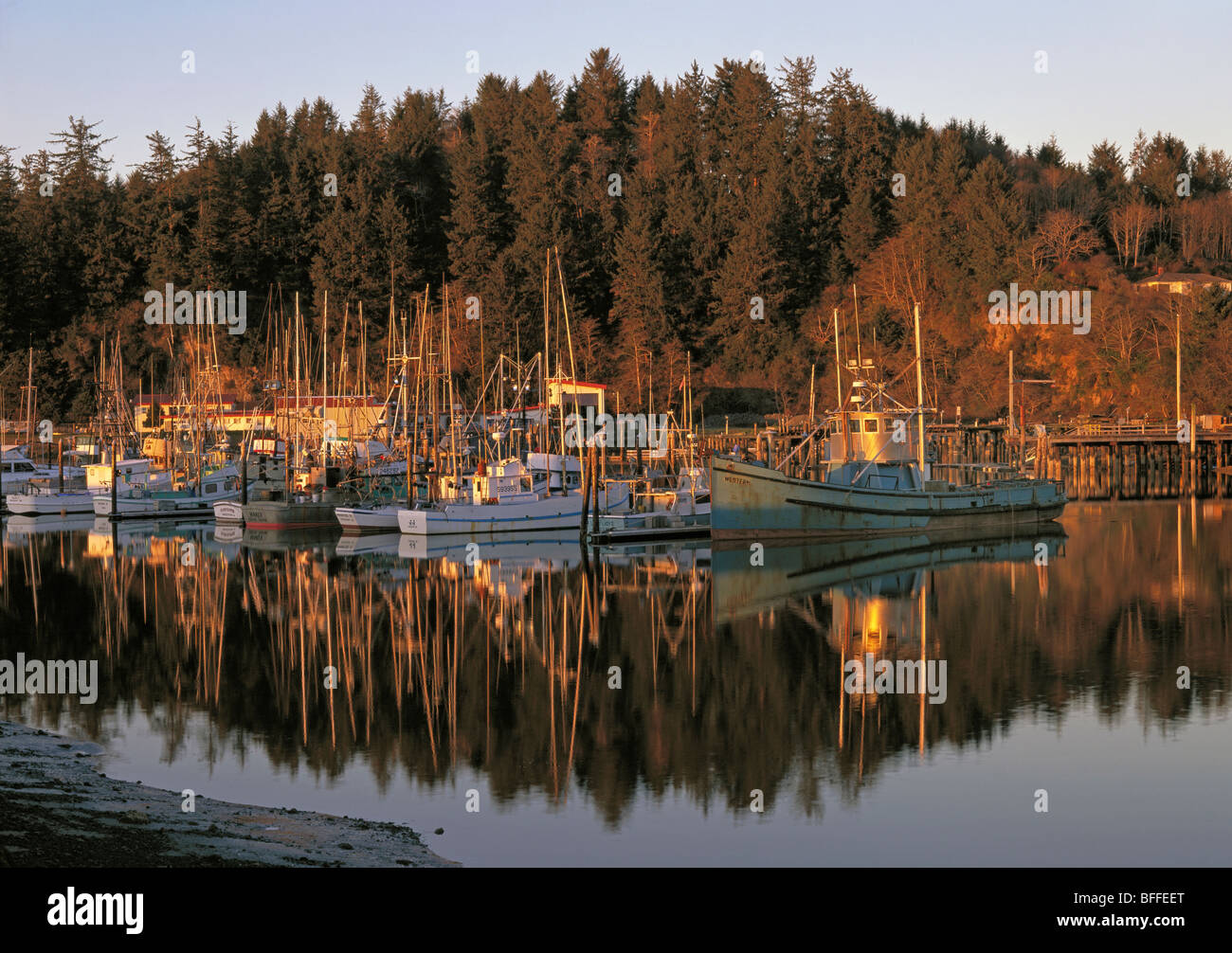 Fishing Winchester Bay Oregon