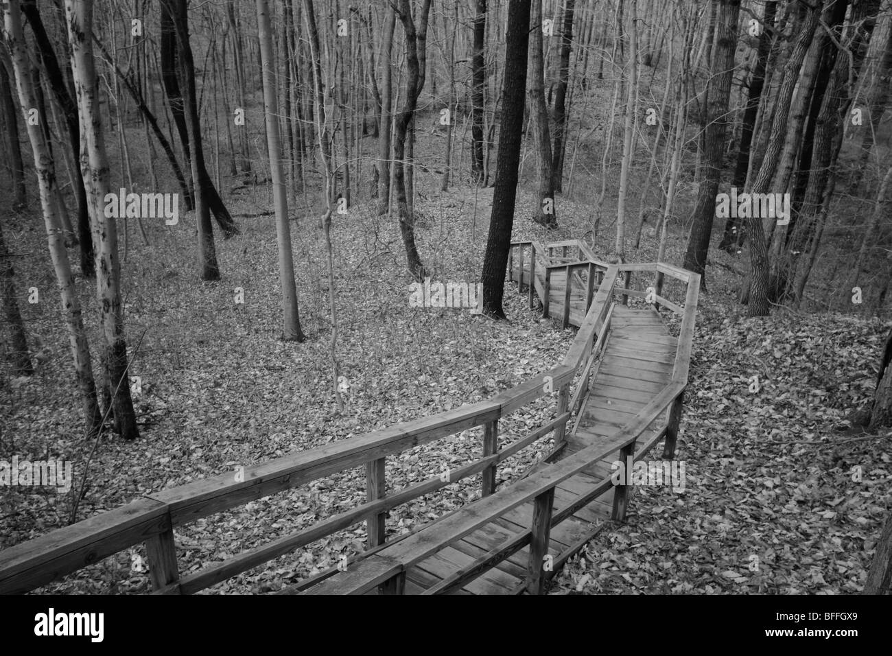 Walk along nature trail Black and White Stock Photos & Images - Alamy
