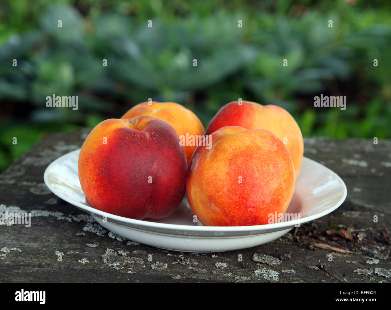 three peaches on old aged wooden table in garden Stock Photo Alamy
