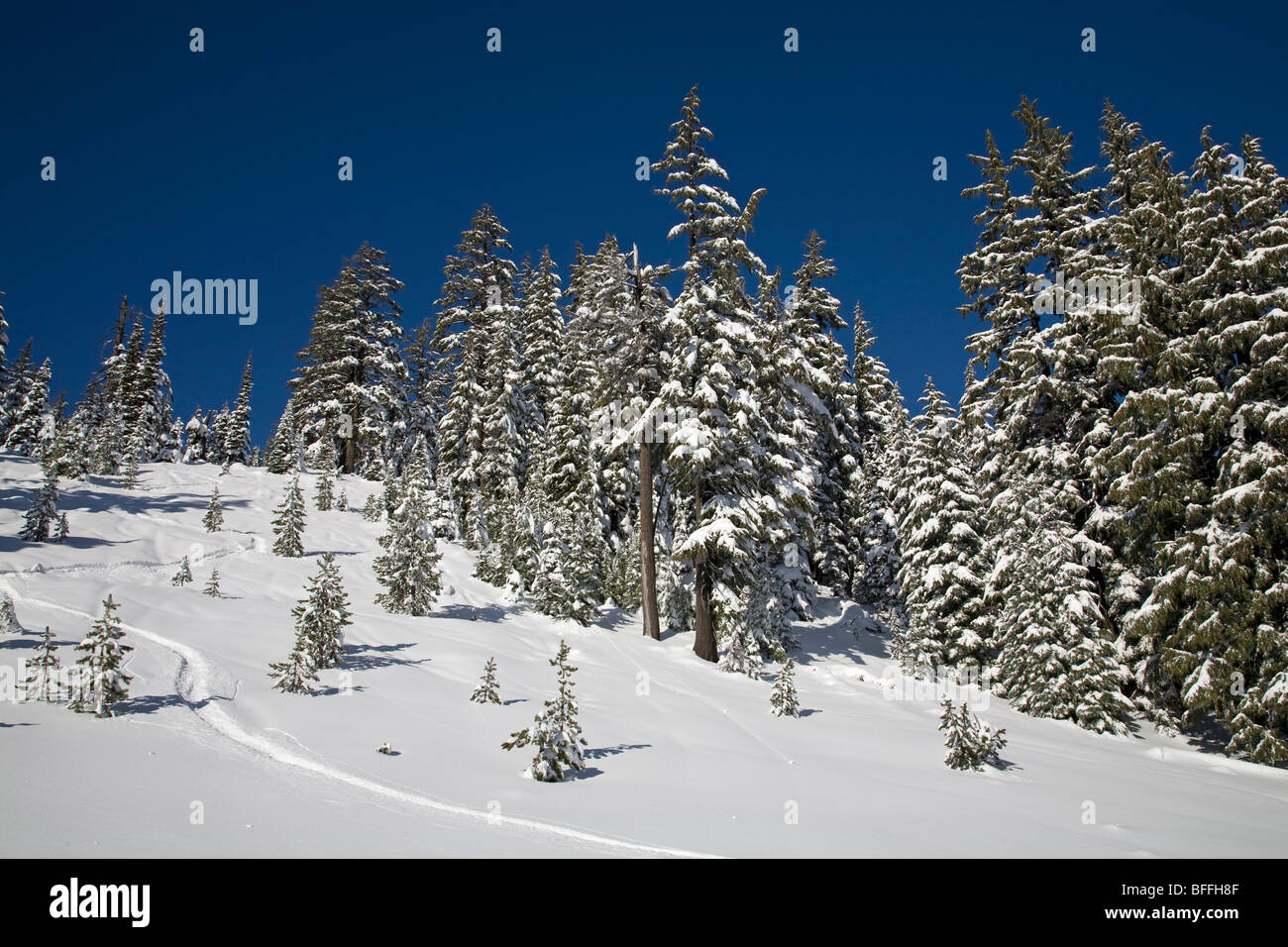 Snow capped volcanoes hi-res stock photography and images - Alamy