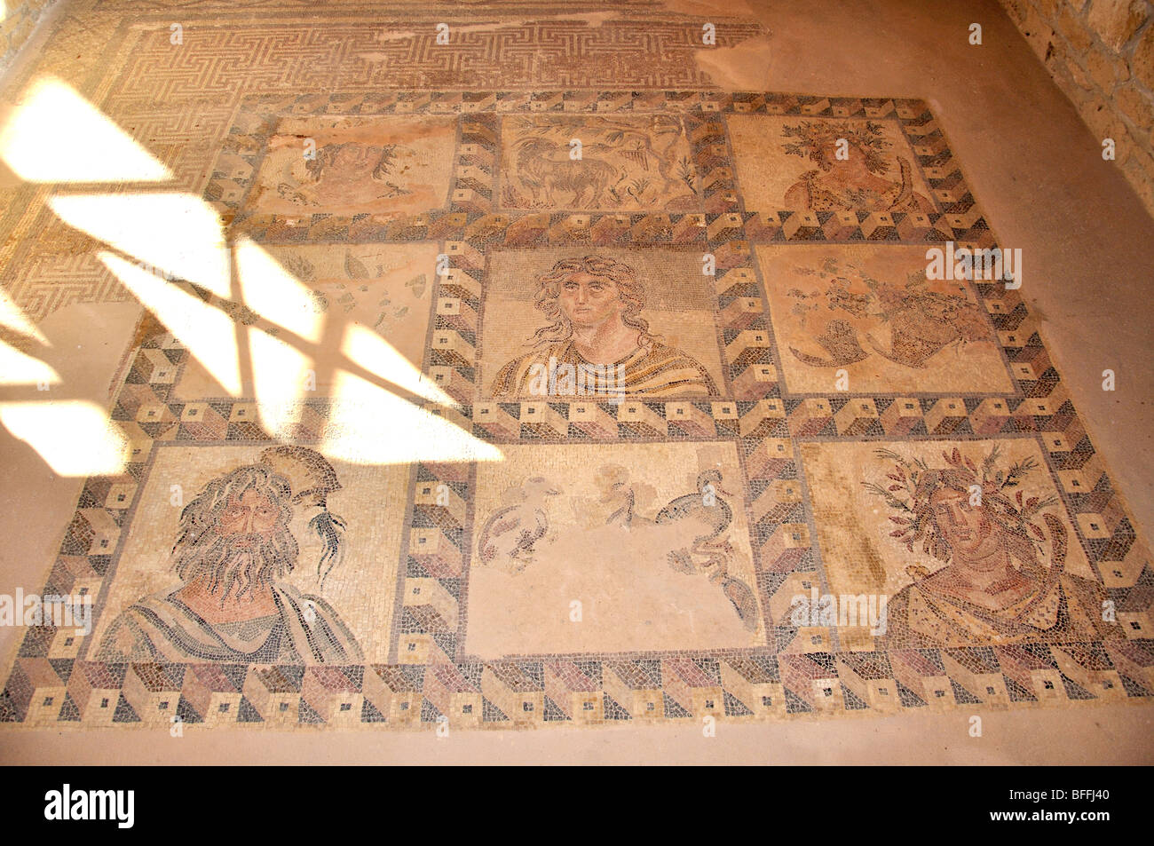 Floor mosaic, House of Dionysus, Kato Pafos Archaelogical Park, Pafos, Pafos District, Cyprus Stock Photo