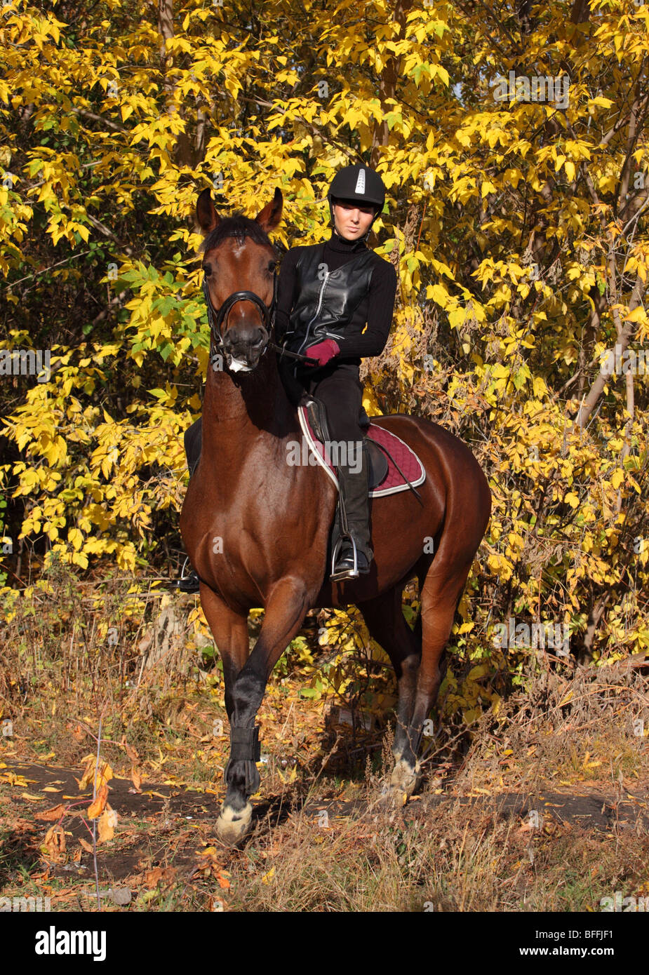 Girl horseback riding in a forest Stock Photo