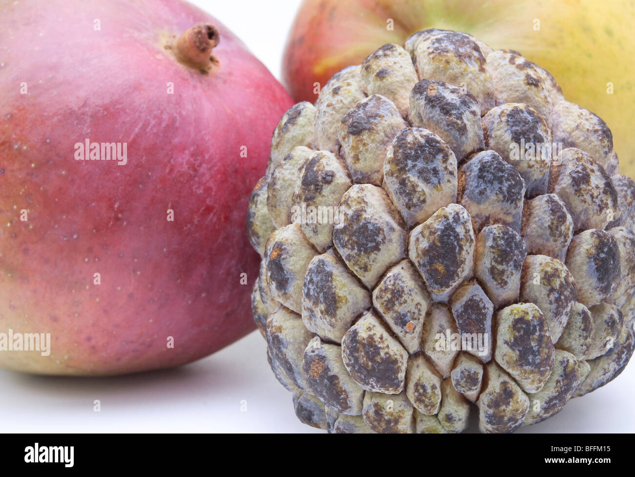 Mixed Exotic Fruit, Mango and Sugar Apple isolated against white background. Stock Photo